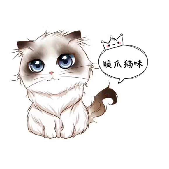 暖爪猫咪生活馆:上海城区嘉定区嘉定西/悠活城附近