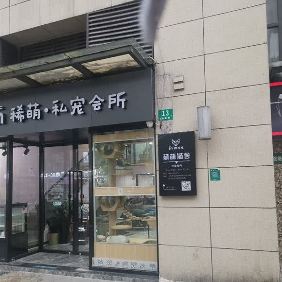 黛萌猫舍:上海城区嘉定区江桥万达广场附近