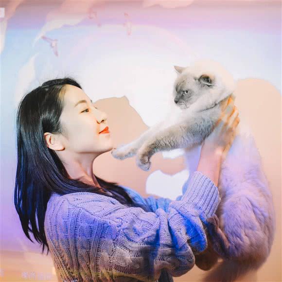 PETKIT小佩宠物·猫咖·桌游·游艺·影院(昌邑路店):上海城区浦东新区陆家嘴附近