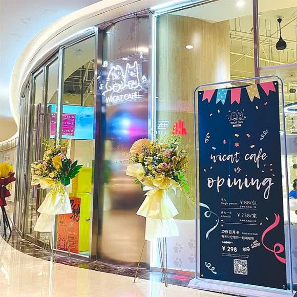 WICAT威派宠物·撸猫馆·猫舍(正大广场店):上海城区浦东新区陆家嘴附近