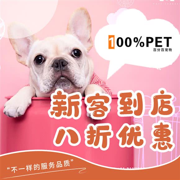 100%PET百分百宠物:上海城区浦东新区世纪公园/科技馆附近