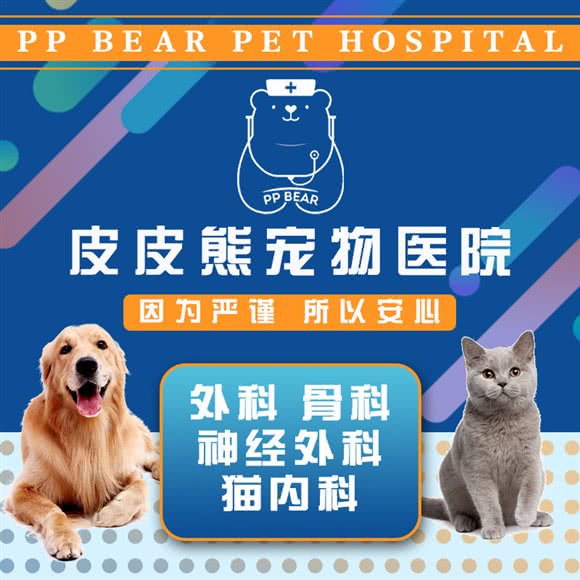 皮皮熊宠物诊疗机构:上海城区浦东新区世纪公园/科技馆附近