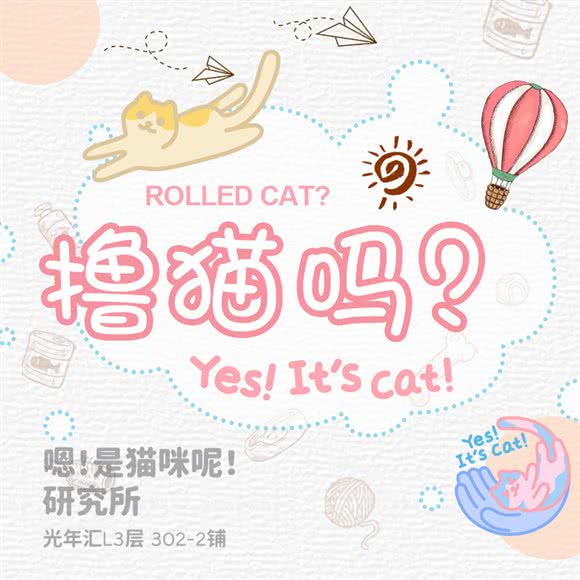 嗯!是猫咪呢!研究所·撸猫·猫舍:上海城区浦东新区八佰伴附近