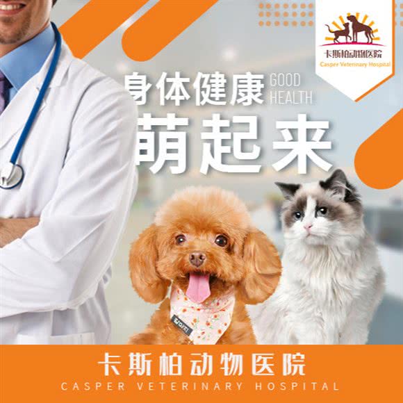 卡斯柏宠物医院(金高路店):上海城区浦东新区金桥附近