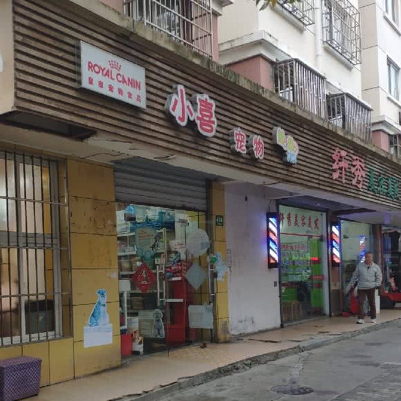 小喜宠物(浦东店):上海城区浦东新区金桥附近