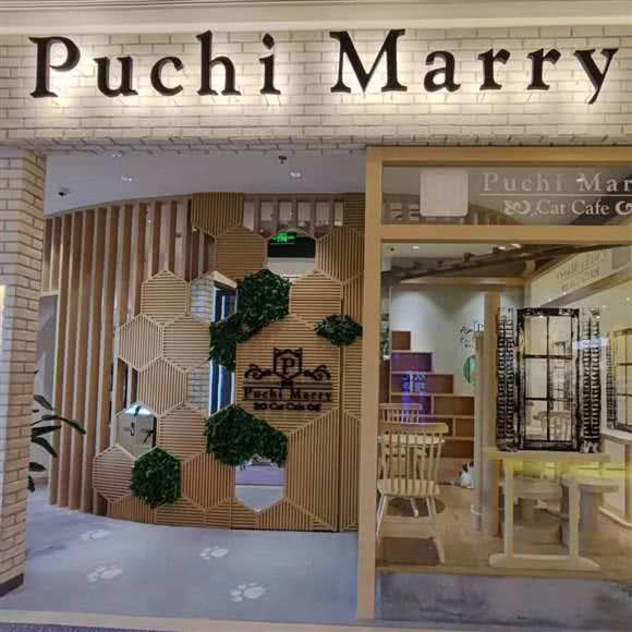 猫咖 PUCHIMARRY(上海啦啦宝都金桥店):上海城区浦东新区金桥附近