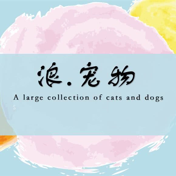 浪·宠物(洪山路店):上海城区浦东新区上南地区附近