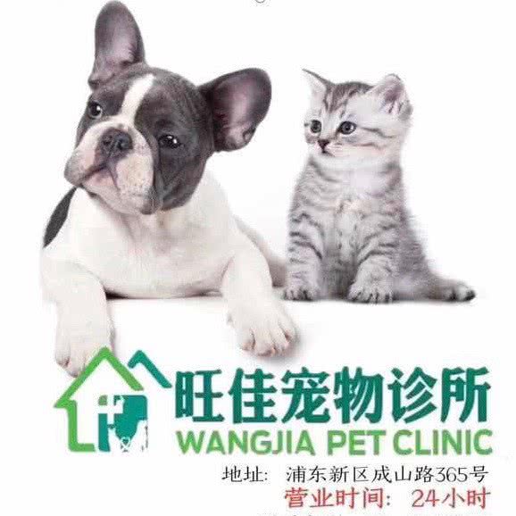 旺佳宠物诊疗中心24H:上海城区浦东新区上南地区附近
