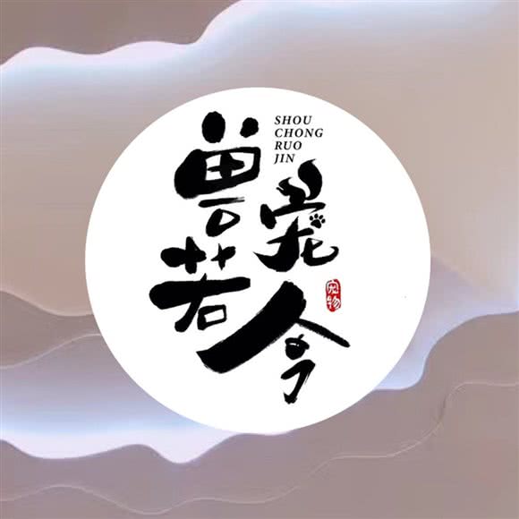 兽宠若今·猫咖·宠物馆(源深路店):上海城区浦东新区源深体育中心附近