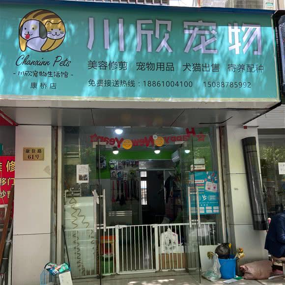 川欣宠物(康桥店):上海城区浦东新区康桥/周浦附近