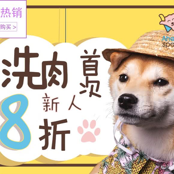 Aha宠物店(绿地店):上海城区浦东新区康桥/周浦附近