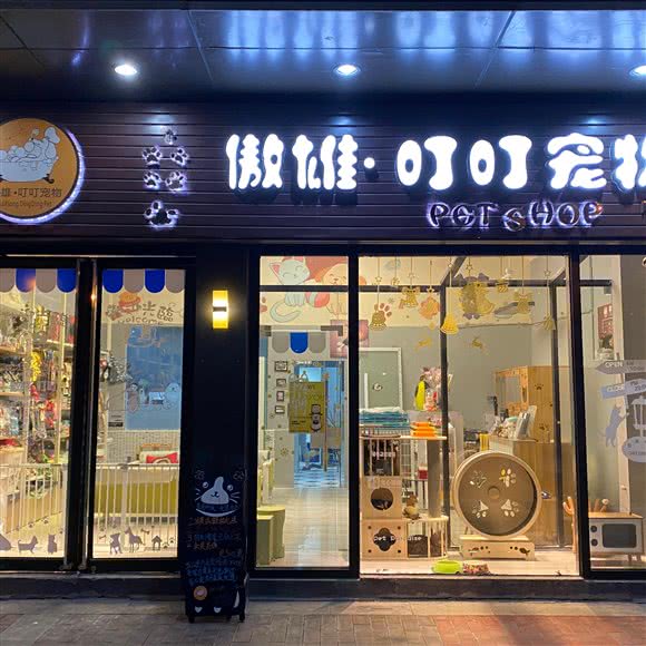 傲雄·叮叮宠物(周浦店):上海城区浦东新区康桥/周浦附近