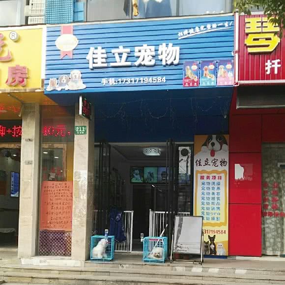 佳立宠物店:上海城区浦东新区康桥/周浦附近