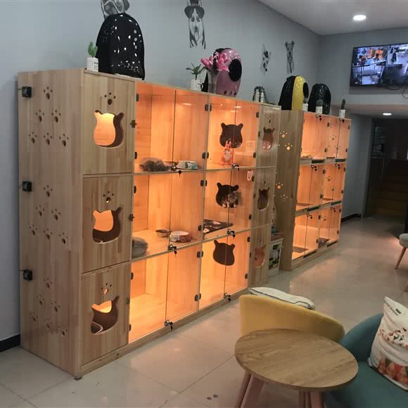 Aha宠物店(年家浜店):上海城区浦东新区康桥/周浦附近