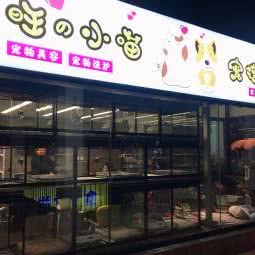 大旺小喵宠物生活馆:上海城区浦东新区康桥/周浦附近