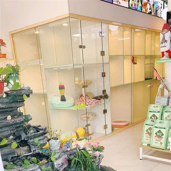 卡尔宠物会所(梓康路店):上海城区浦东新区康桥/周浦附近