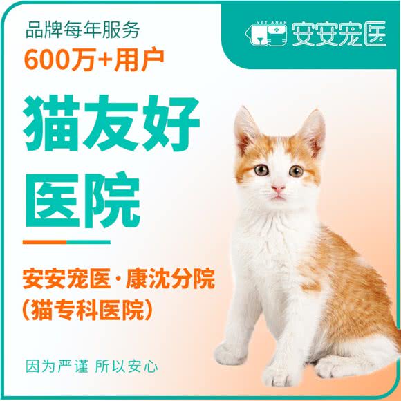 安安宠医猫专科(康沈分院):上海城区浦东新区康桥/周浦附近