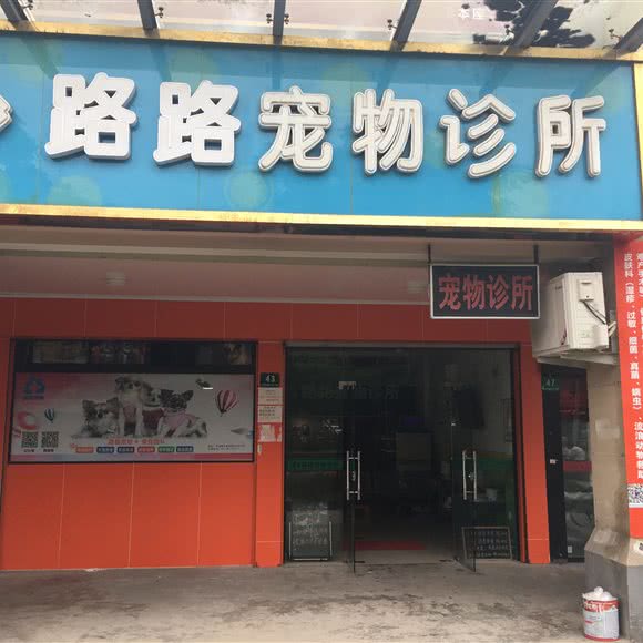 路路宠物医院:上海城区浦东新区康桥/周浦附近