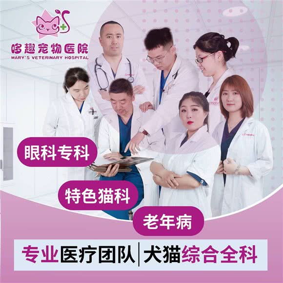 哆趣宠物医院(眼科,猫科,老年科)(浦东店):上海城区浦东新区金杨地区附近