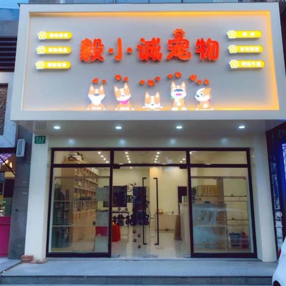 毅小诚宠物:上海城区浦东新区川沙附近