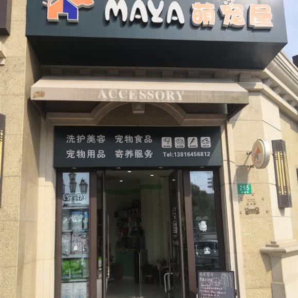maya萌宠屋:上海城区浦东新区川沙附近