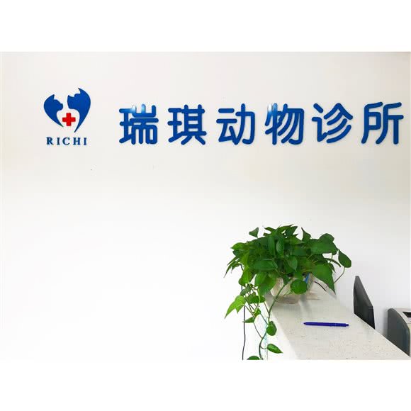 上海瑞琪动物诊所:上海城区浦东新区川沙附近