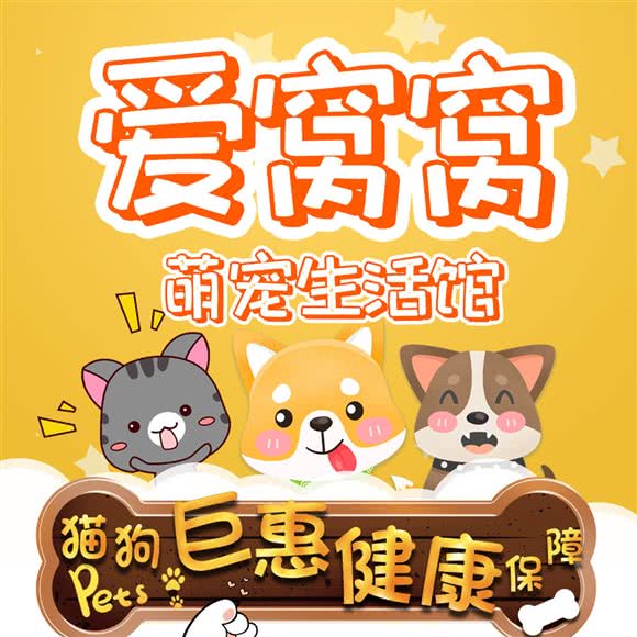 爱窝窝·猫狗专售:上海城区浦东新区三林地区附近