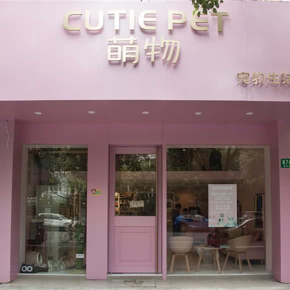 CUTIE PET萌物:上海城区浦东新区三林地区附近