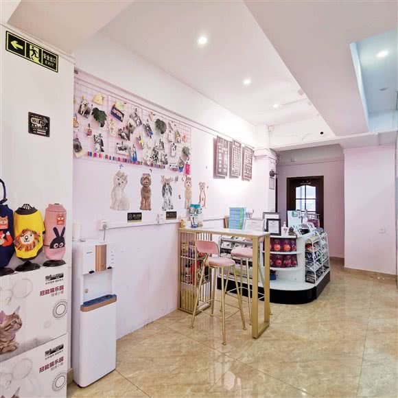 派多格宠物(杨南店):上海城区浦东新区三林地区附近
