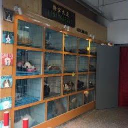 勒窝犬业:上海城区浦东新区三林地区附近