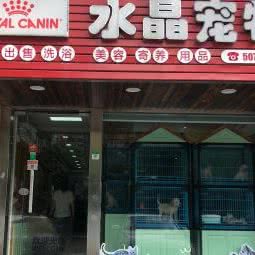 水晶宠物(上川店):上海城区浦东新区曹路附近