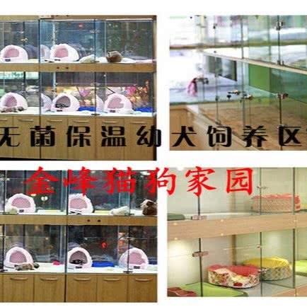 金峰猫狗家园(活体售卖售后一体店):上海城区浦东新区曹路附近