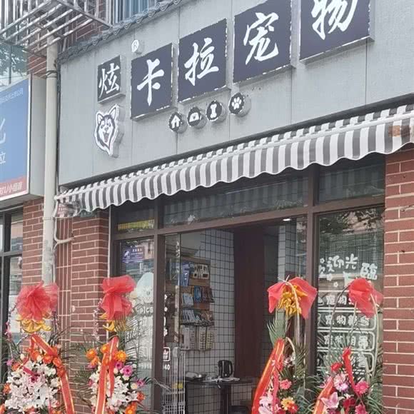 卡拉宠物(大同路店):上海城区浦东新区外高桥附近