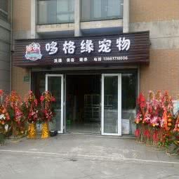 哆格缘宠物狗:上海城区浦东新区外高桥附近