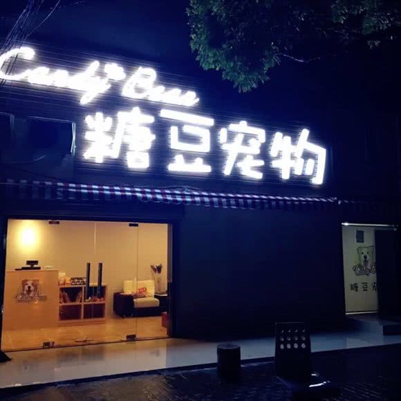 糖豆宠物:上海城区浦东新区外高桥附近