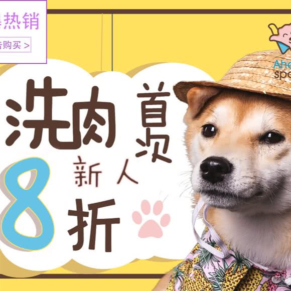 Aha宠物店(南汇店):上海城区浦东新区惠南镇附近