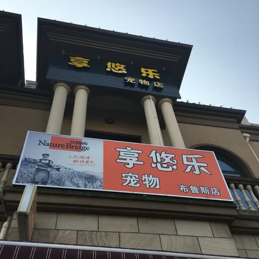 享悠乐宠物公馆:上海城区浦东新区惠南镇附近