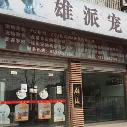 雄派宠物化妆品学校:上海城区浦东新区惠南镇附近
