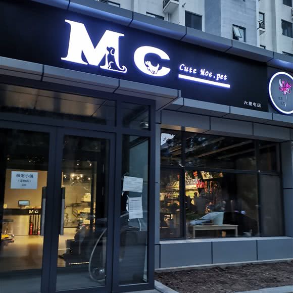 M C cute moe pet:北京城区海淀区西北旺附近