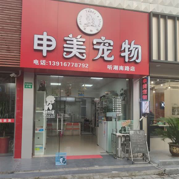 申美狗狗:上海城区浦东新区惠南镇附近
