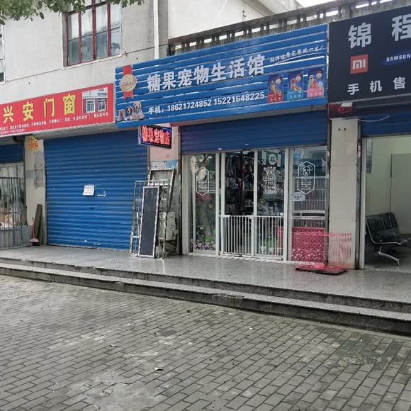 糖果宠物生活馆:上海城区浦东新区惠南镇附近