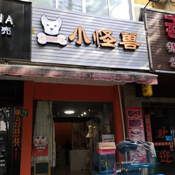 小怪兽:上海城区浦东新区惠南镇附近