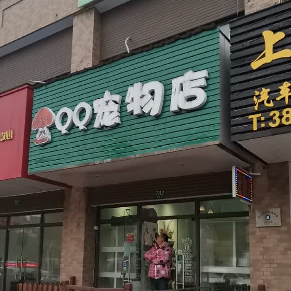 微信宠物店:上海城区浦东新区惠南镇附近