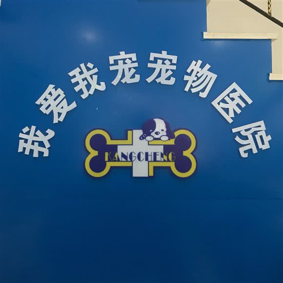 我爱我宠宠物医院:上海城区浦东新区惠南镇附近