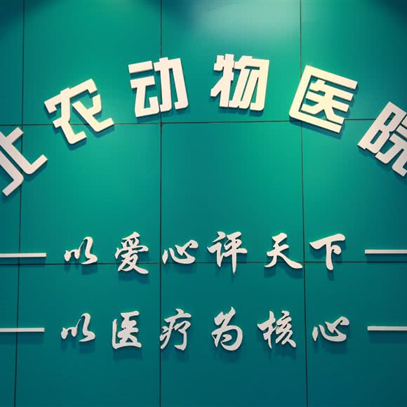 北农动物医院:北京城区海淀区西北旺附近