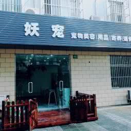 妖宠宠物店:上海城区浦东新区新场附近