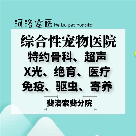 河洛宠医·斐洛索斐医疗中心:上海城区浦东新区新场附近