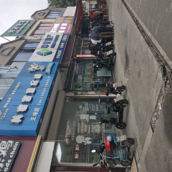 宠物美容寄售保健(王港店):上海城区浦东新区迪士尼附近