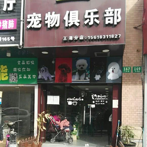 黄家宠物俱乐部(王港分店):上海城区浦东新区迪士尼附近