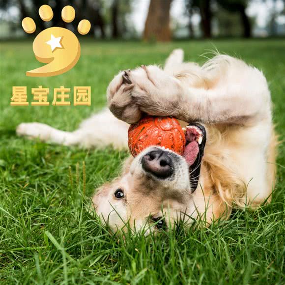 星宝庄园:上海城区浦东新区迪士尼附近